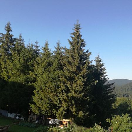 Kuca Za Odmor "Jasna" Crni Lug Exterior foto