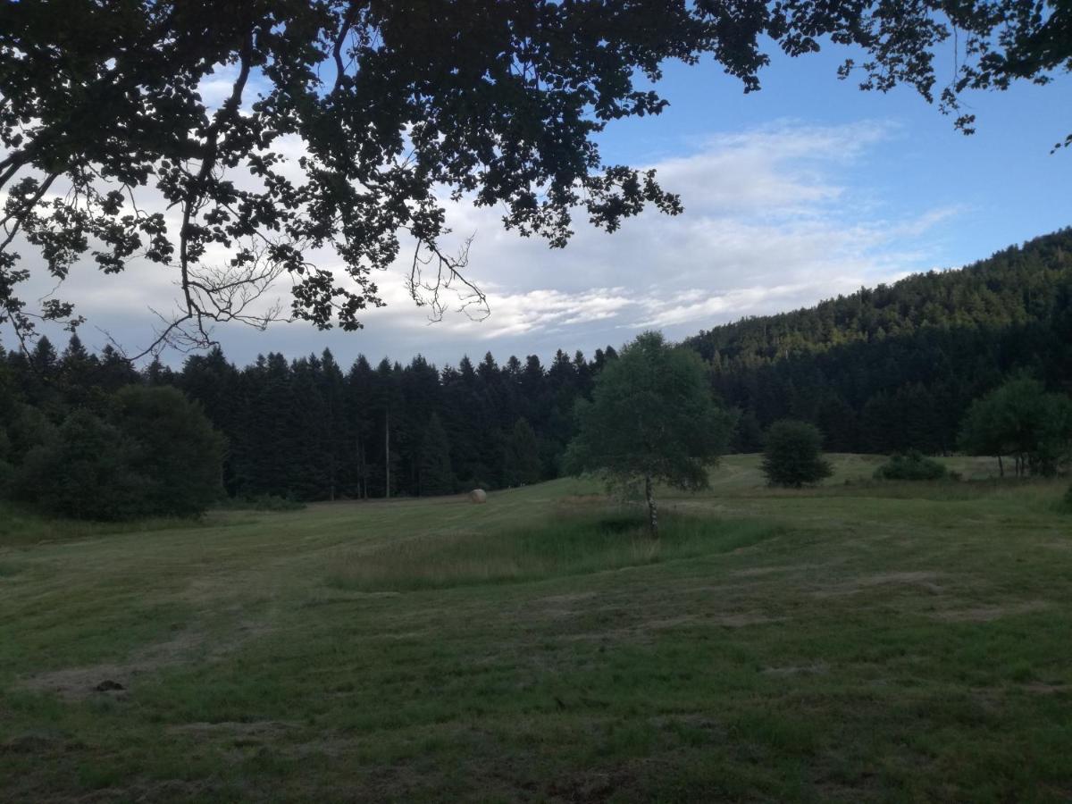 Kuca Za Odmor "Jasna" Crni Lug Exterior foto
