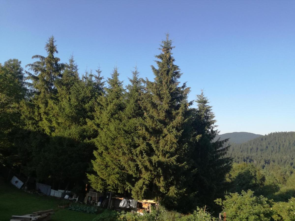 Kuca Za Odmor "Jasna" Crni Lug Exterior foto